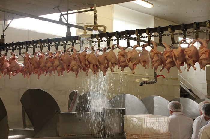 آگهی تجدید مزایده عمومی اجاره مجتمع پرورش مرغ گوشتی به ظرفیت 700/000  قطعه جوجه ریزی در هر دوره و کشتارگاه صنعتی طیور 